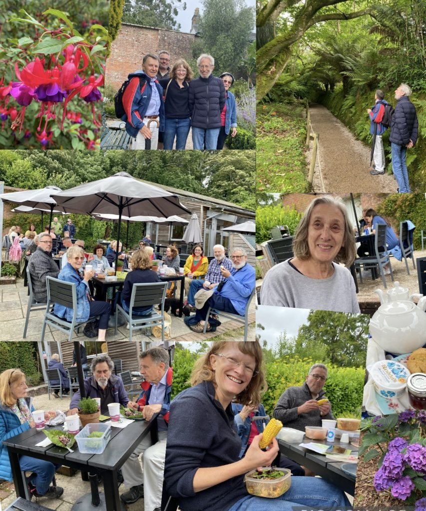 Picnic Collage 2023